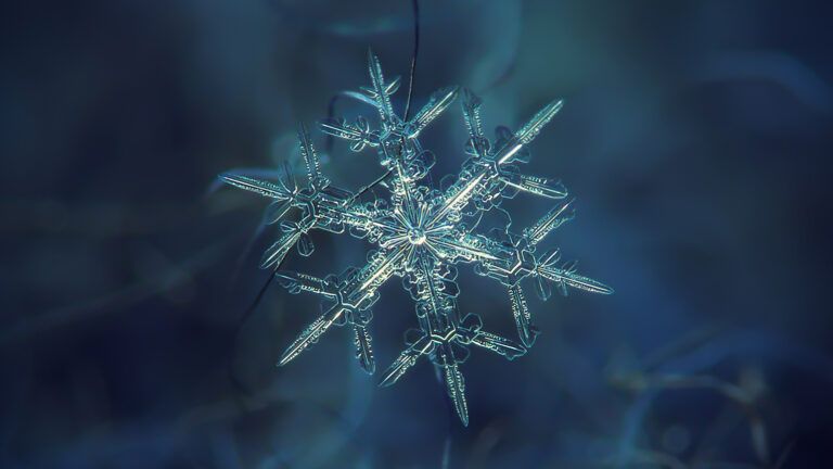 A winter snowflake against a dark blue background
