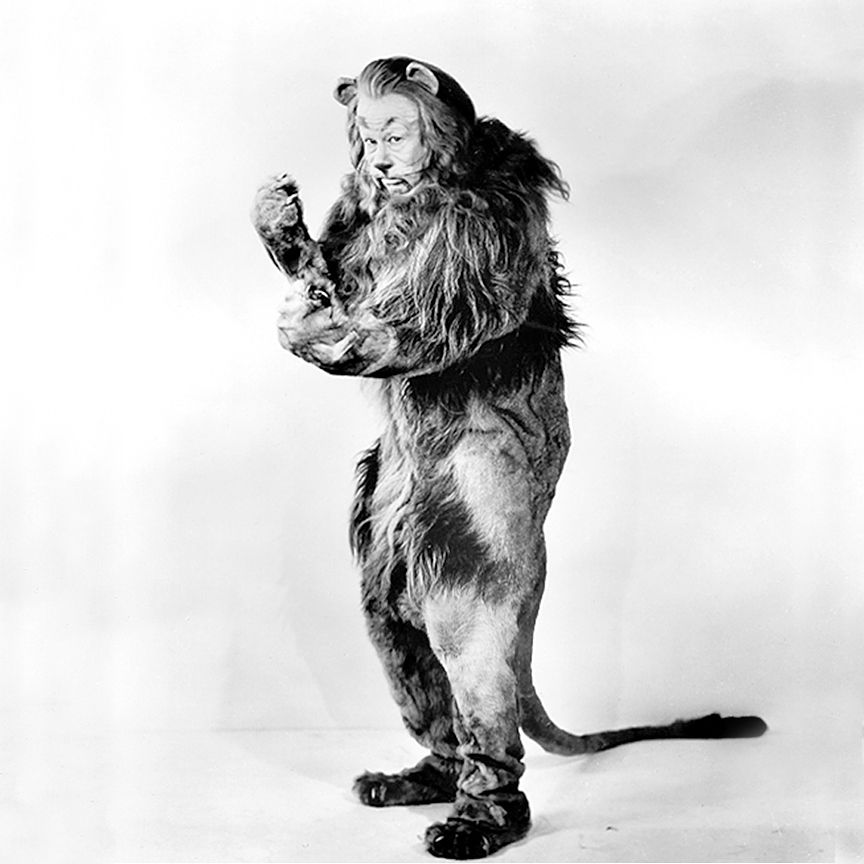 The Cowardly Lion's costume weighed almost 100 pounds and was made with real lion pelts.