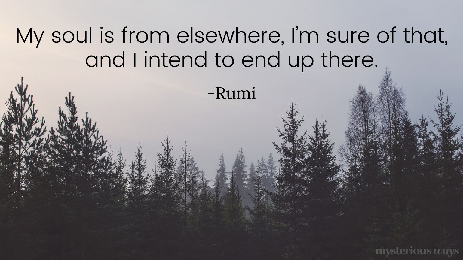My soul is from elsewhere, I’m sure of that, and I intend to end up there. —Rumi