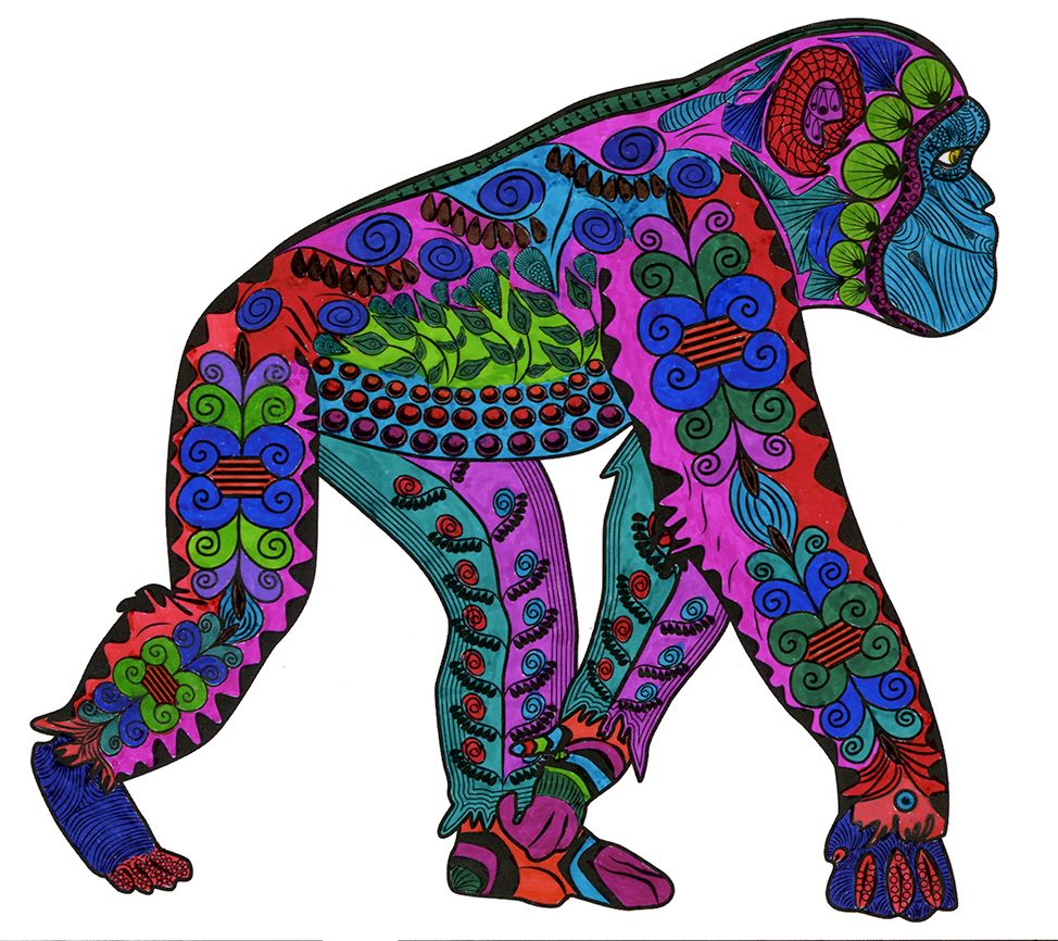 Gorilla colored by Joan Walinski, Omaha, Nebraska