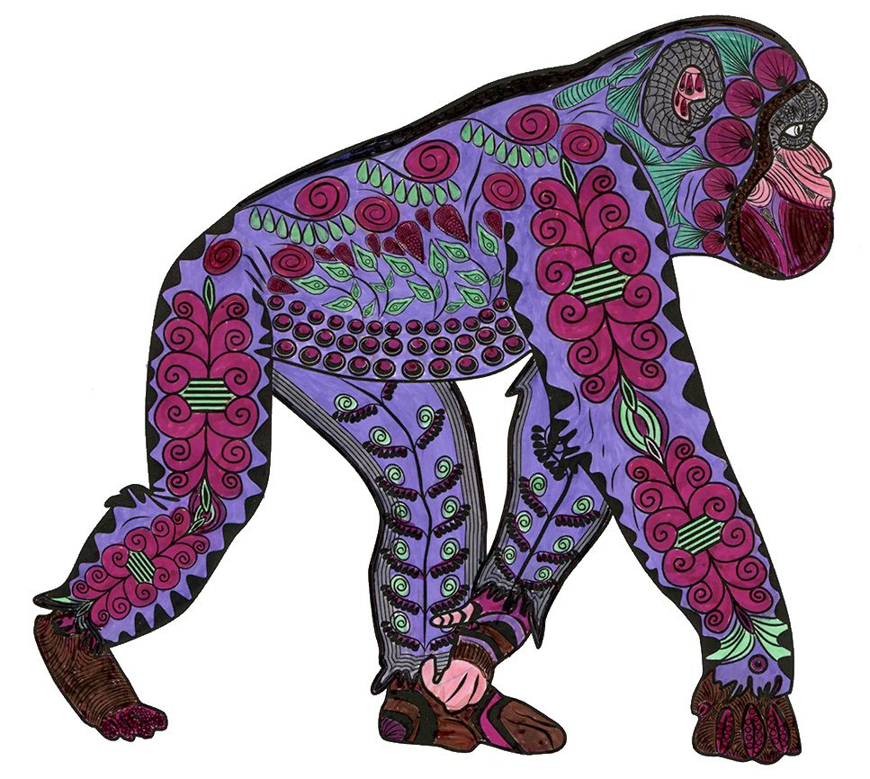 Gorilla colored by Joyce Schaper, Ossian, Indiana