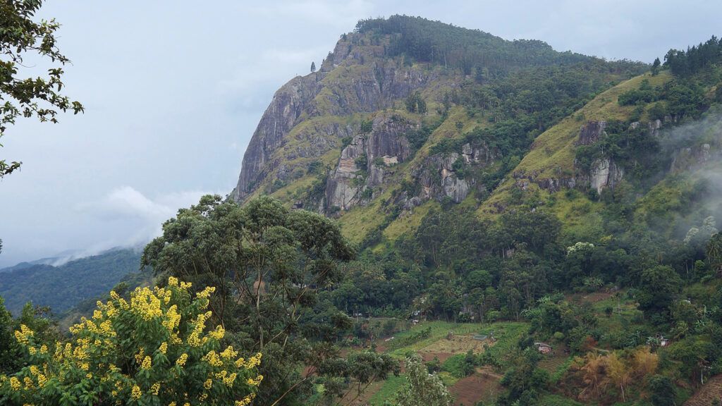 Adam’s Peak, Sri Lanka
