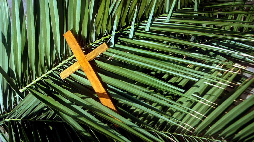 A wooden cross rests on a stack of palm fronds for Palm Sunday