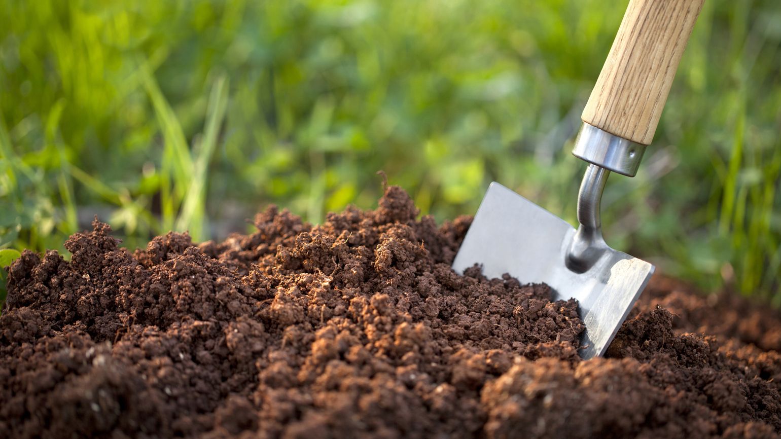 A gardening shovel digging up soil.