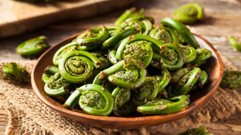Fiddleheads