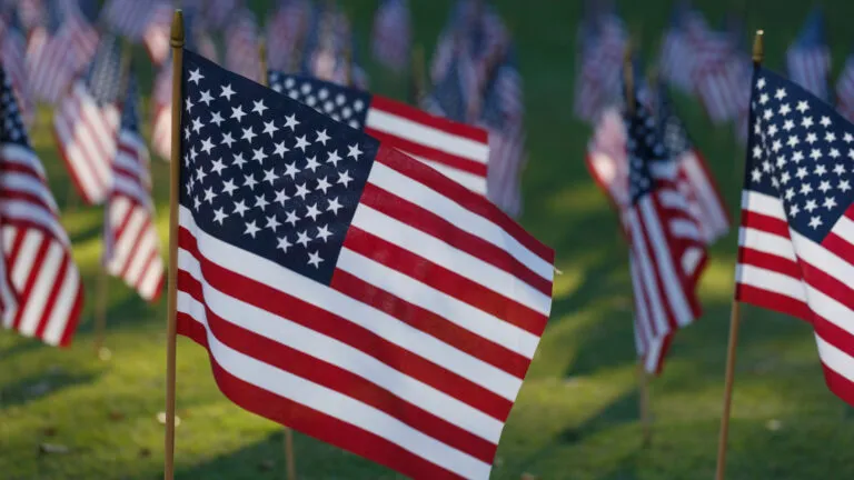 Memorial Day flags