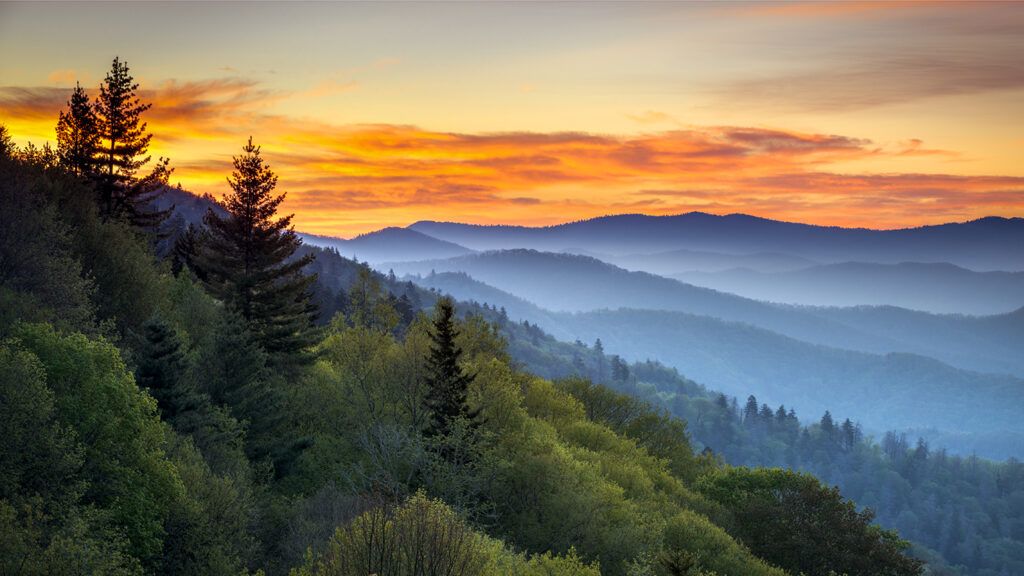 Tennessee's Great Smoky Mountains, where Douglas Scott Clark grew up