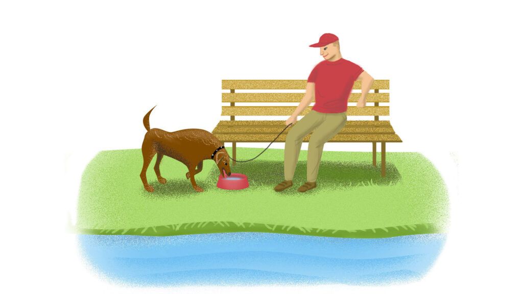 An artist's rendering of a man sitting on a bench as his dog drinks water.