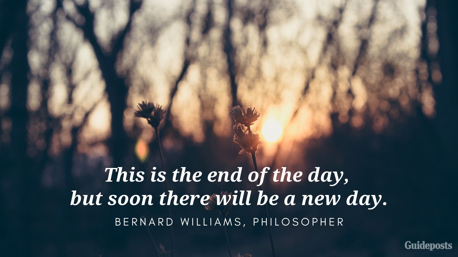 Bernard Williams Positive Quote for Bedtime Better Living Positive Living Positive Thinking