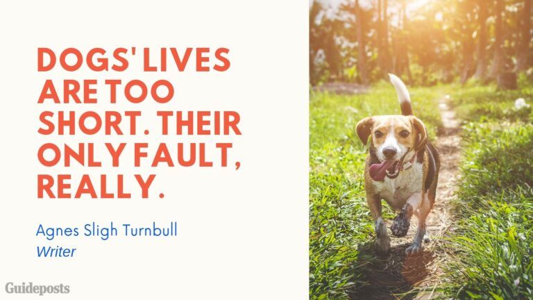 Sentimental Dog Quote: Dog's lives are too short. Their only fault, really. —Agnes Sligh Turnbull, Writer Dog Lover