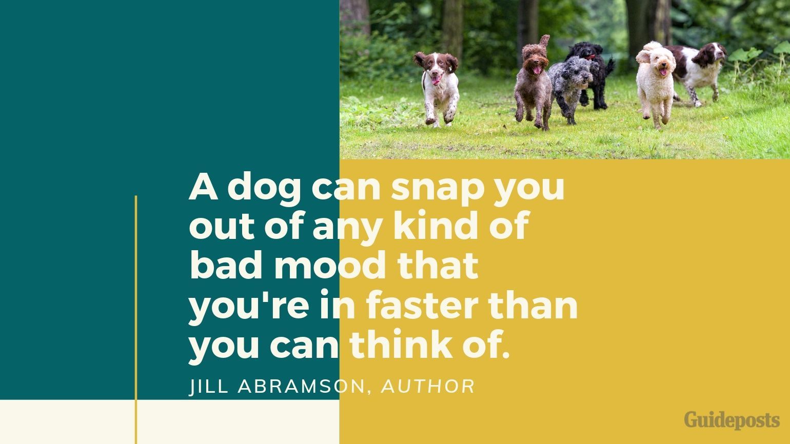 Sentimental Dog Quote: A dog can snap you out of any kind of bad mood that you're in faster than you can think of. —Jill Abramson, Author dog lover