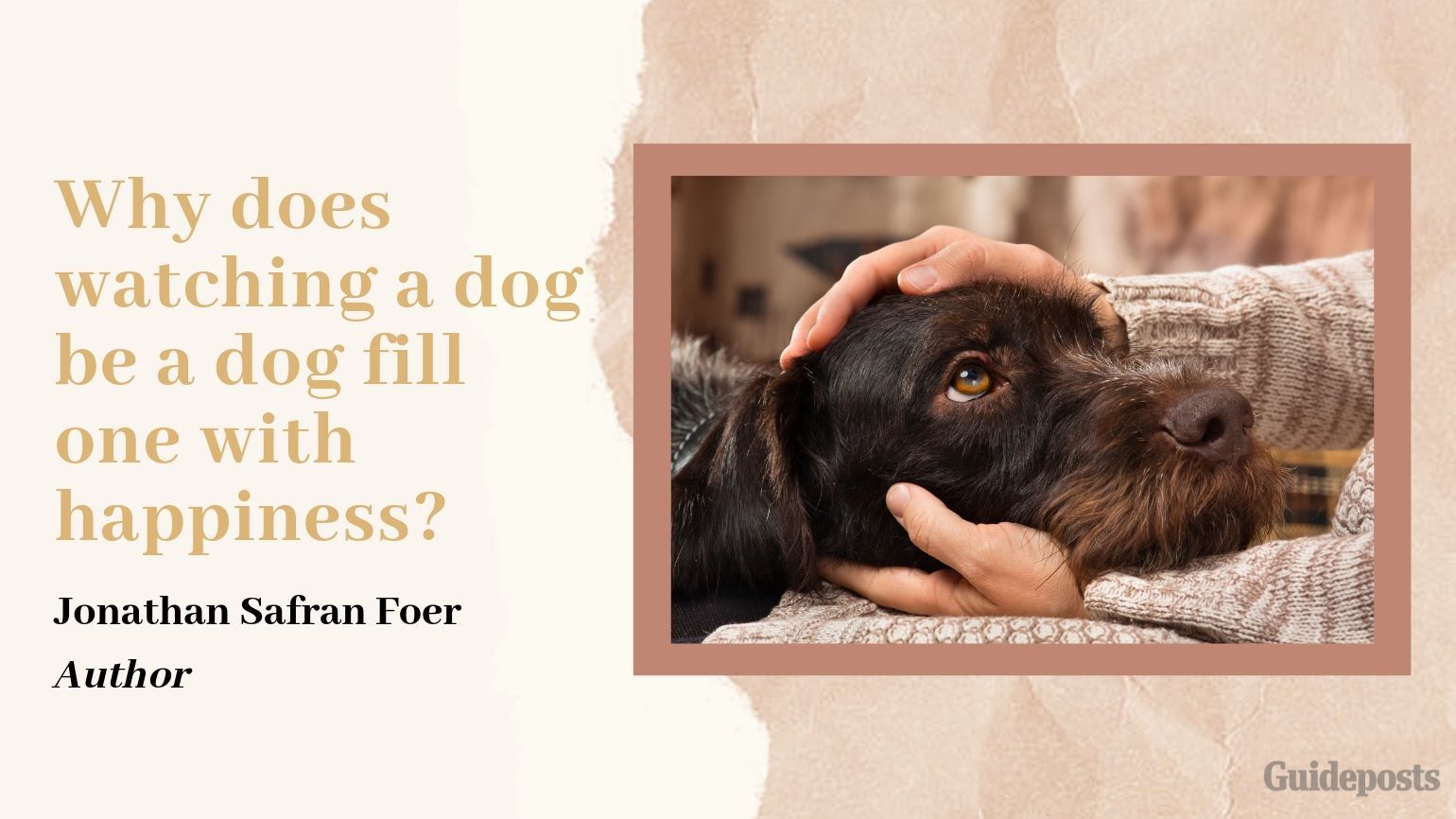 Sentimental Dog Quote: Why does watching a dog be a dog fill one with happiness? —Jonathan Safran Foer, Author dog lover