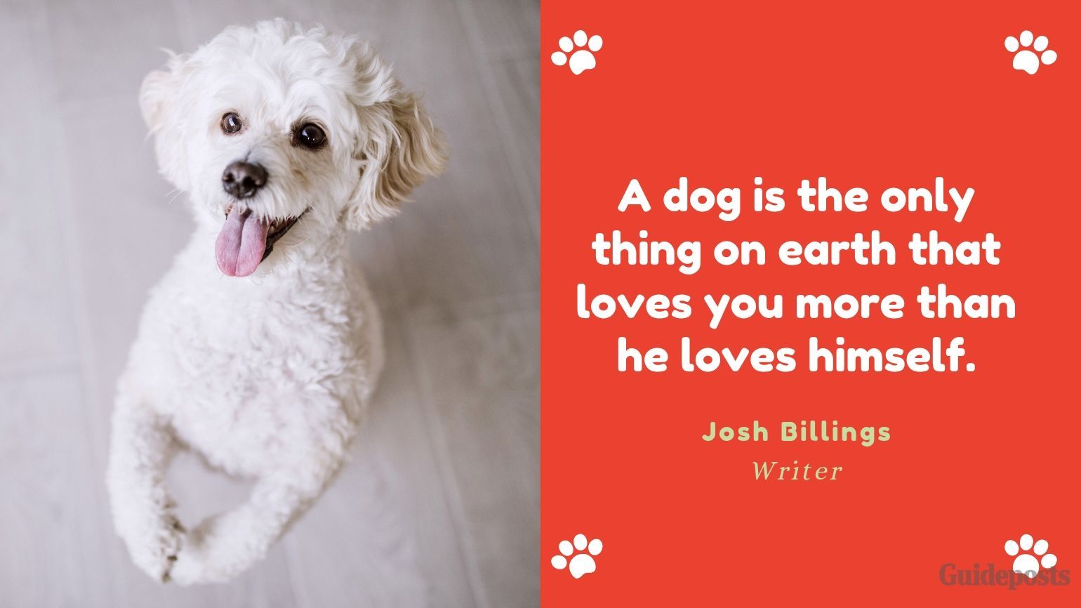 Sentimental Dog Quote: A dog is the only thing on earth that loves you more than he loves himself. —Josh Billings, Writer dog lover