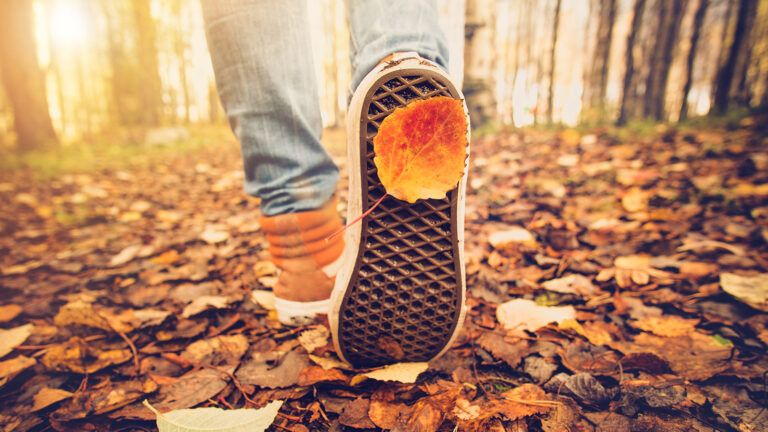 The feet of an autumn hiker
