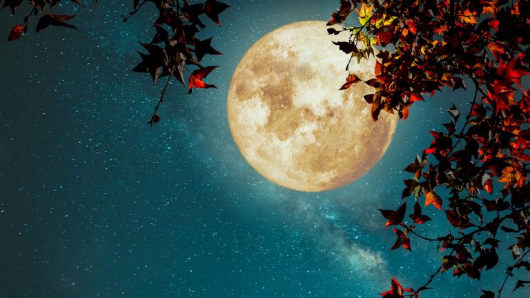 Looking skyward at the moon and stars on an autumn night