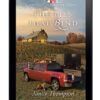 Mysteries of Lancaster County Book 7: The Ties That Bind - ePUB-0