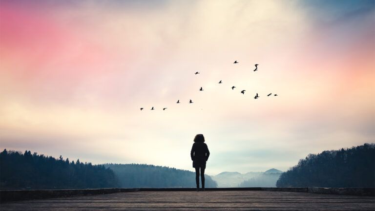 A woman watches birds fly away