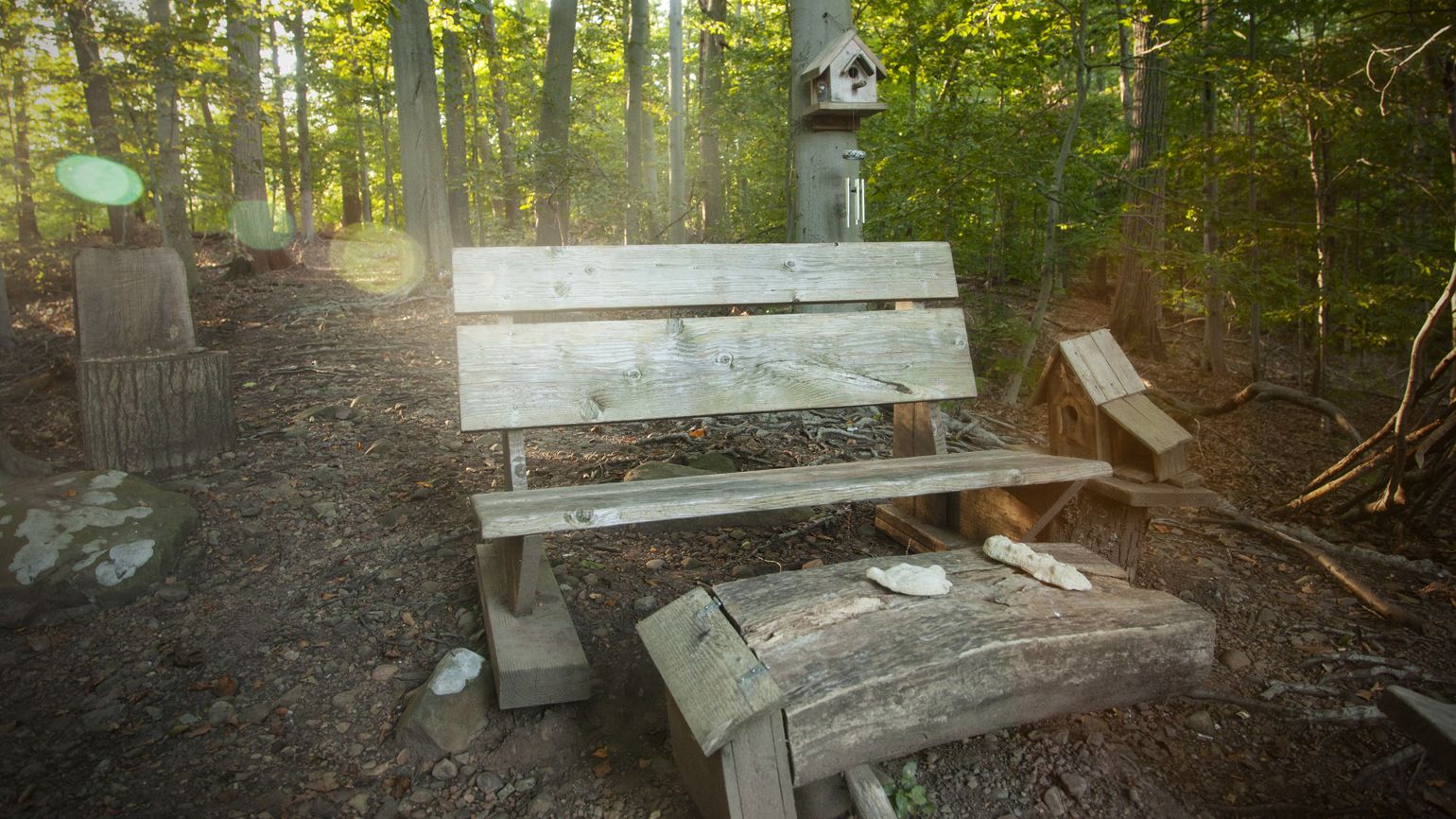 The Bench at Mabel’s Bluff in Short Hills, NJ.