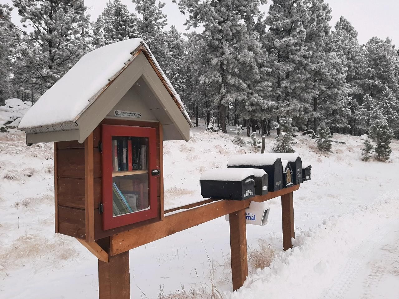 Little Free Library in Custer