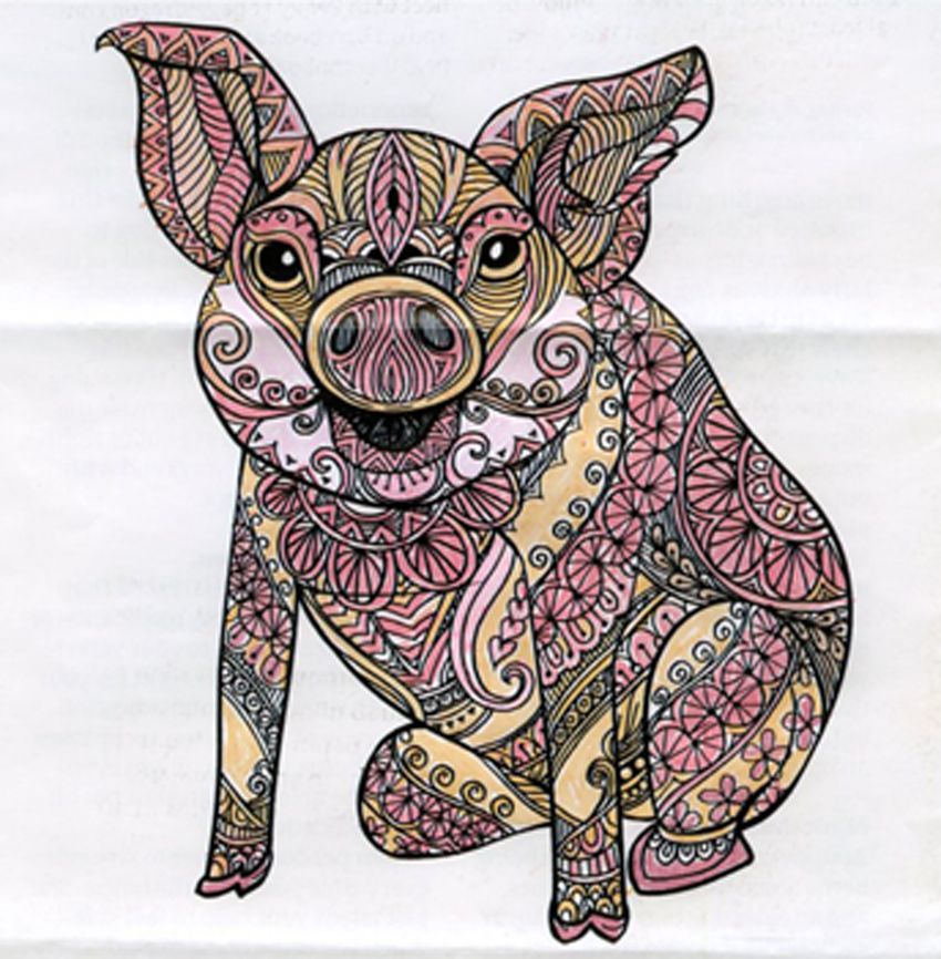Pig colored by Mary Lou Deemer, Apollo, Pennsylvania