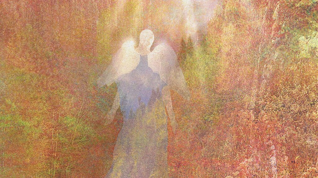 An artist's rendering of a translucent angel hovering in nature with white light above.