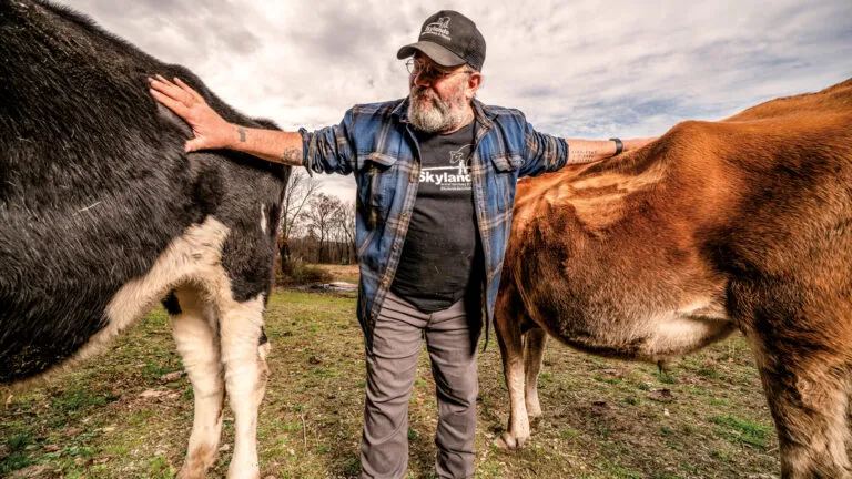 Mike Stura and his two rescue cows