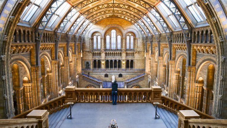 The inside of the Natural History Museum in London.