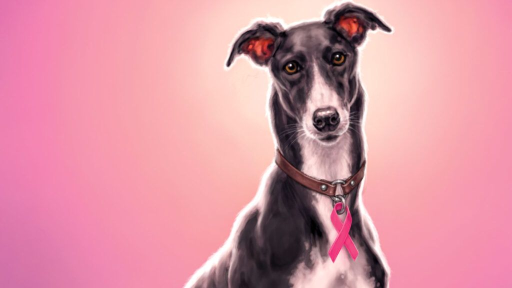 Illustration of Jimmy the greyhound