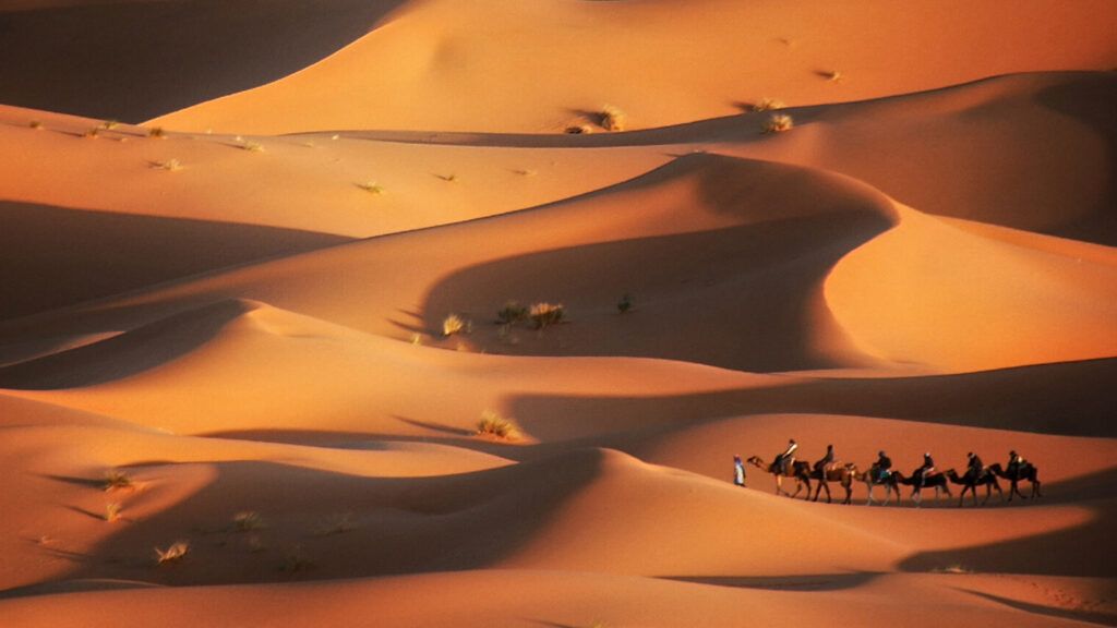 Caravan in the desert, Merzouga, Morocco