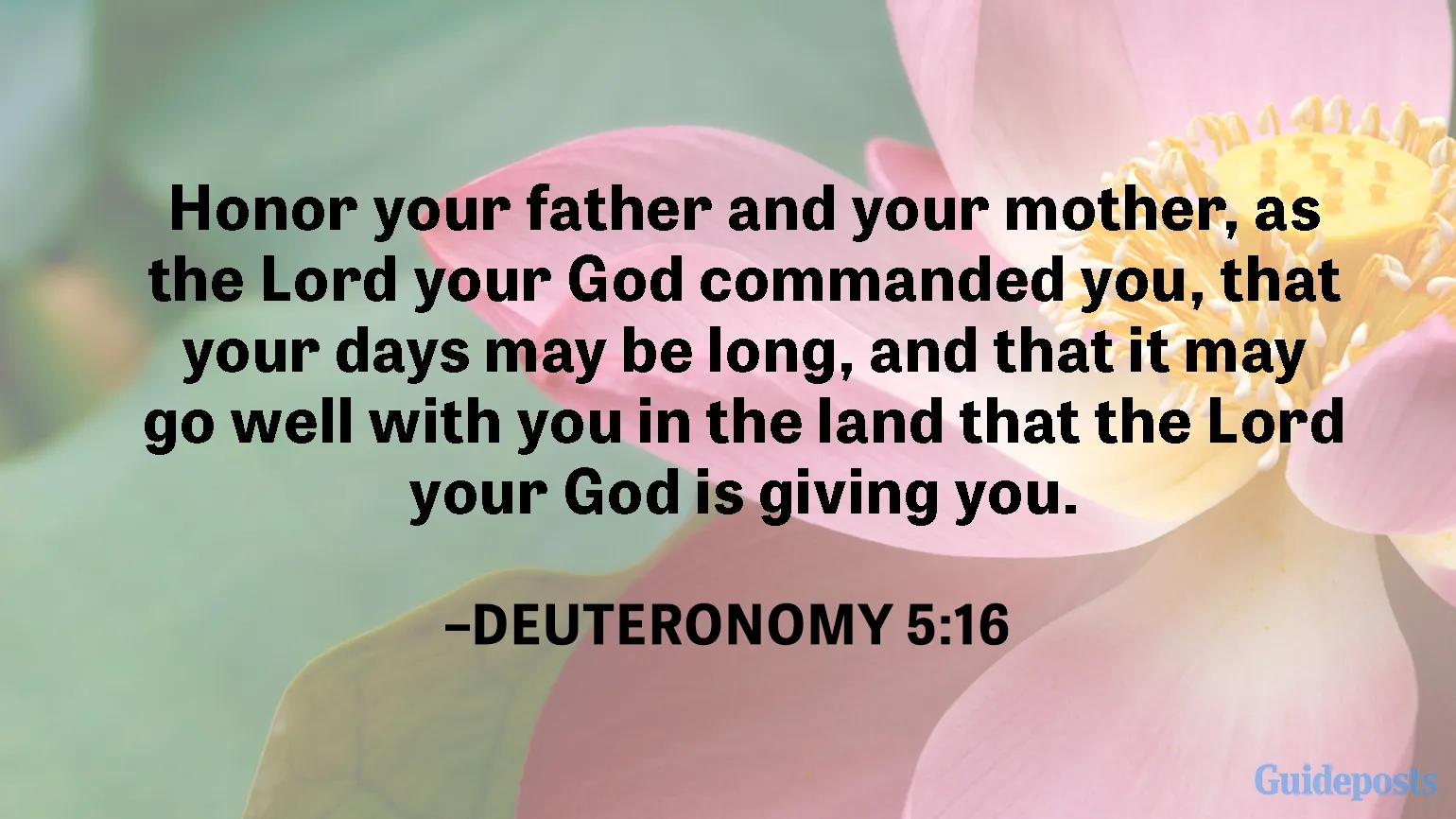 Honor your father and your mother, as the Lord your God commanded you, that your days may be long, and that it may go well with you in the land that the Lord your God is giving you.  —Deuteronomy 5:16