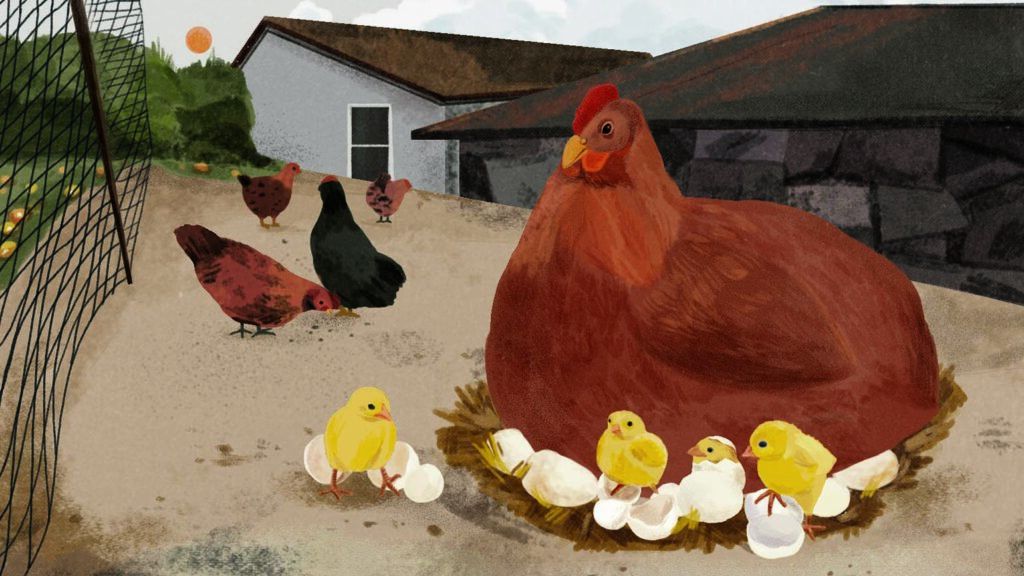 An artist's rendering of a hen with chicks around her.