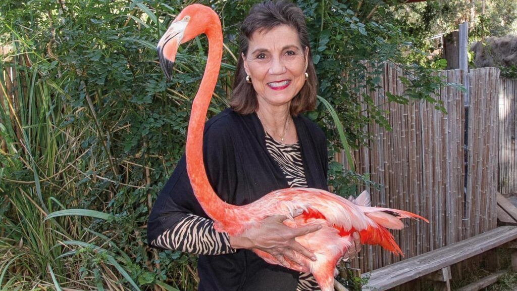 Georgeanne Irvine holding a flamingo.