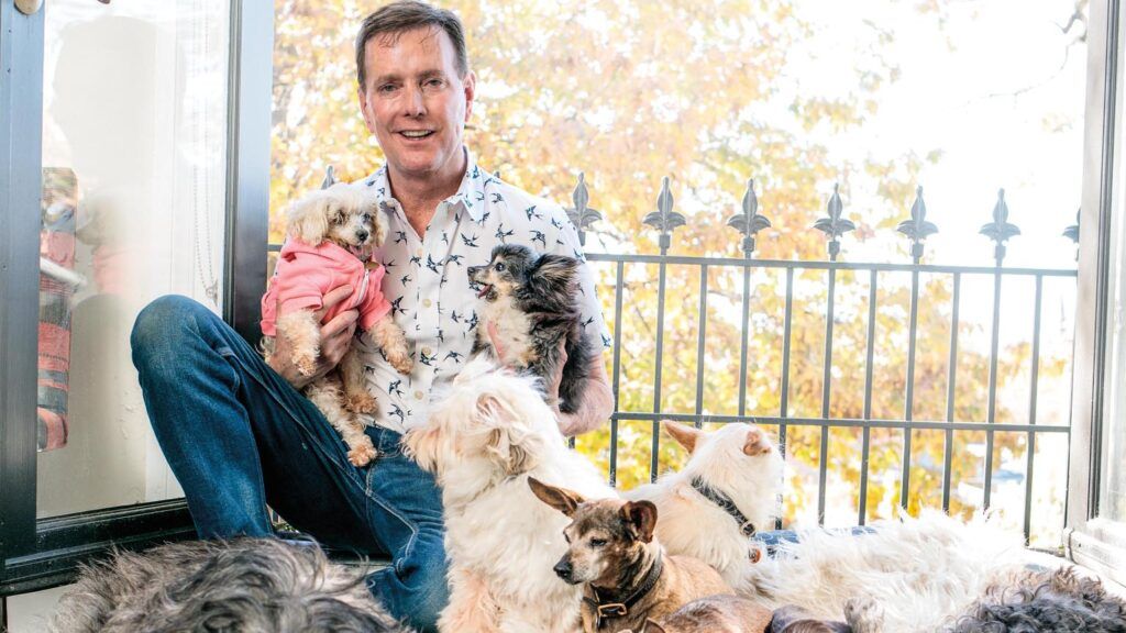 Steve Greig and his family of dogs.