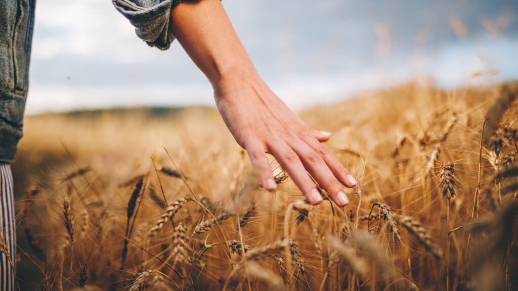 A close up of a woman walking through a wheat field.