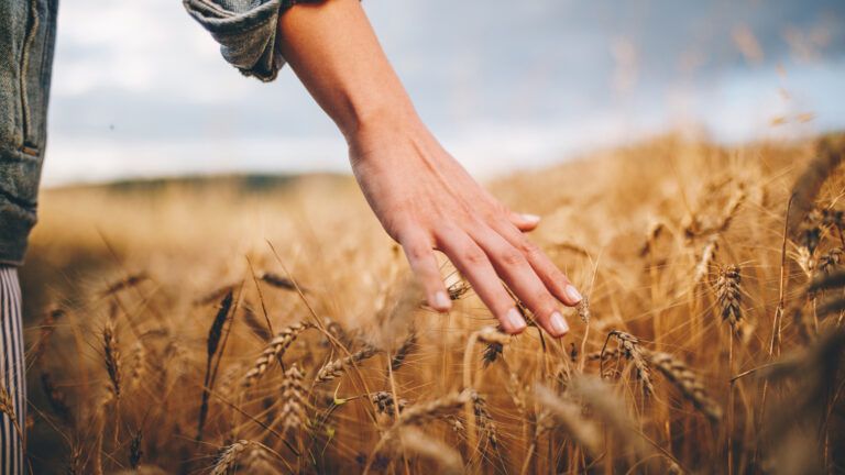 A close up of a woman walking through a wheat field.