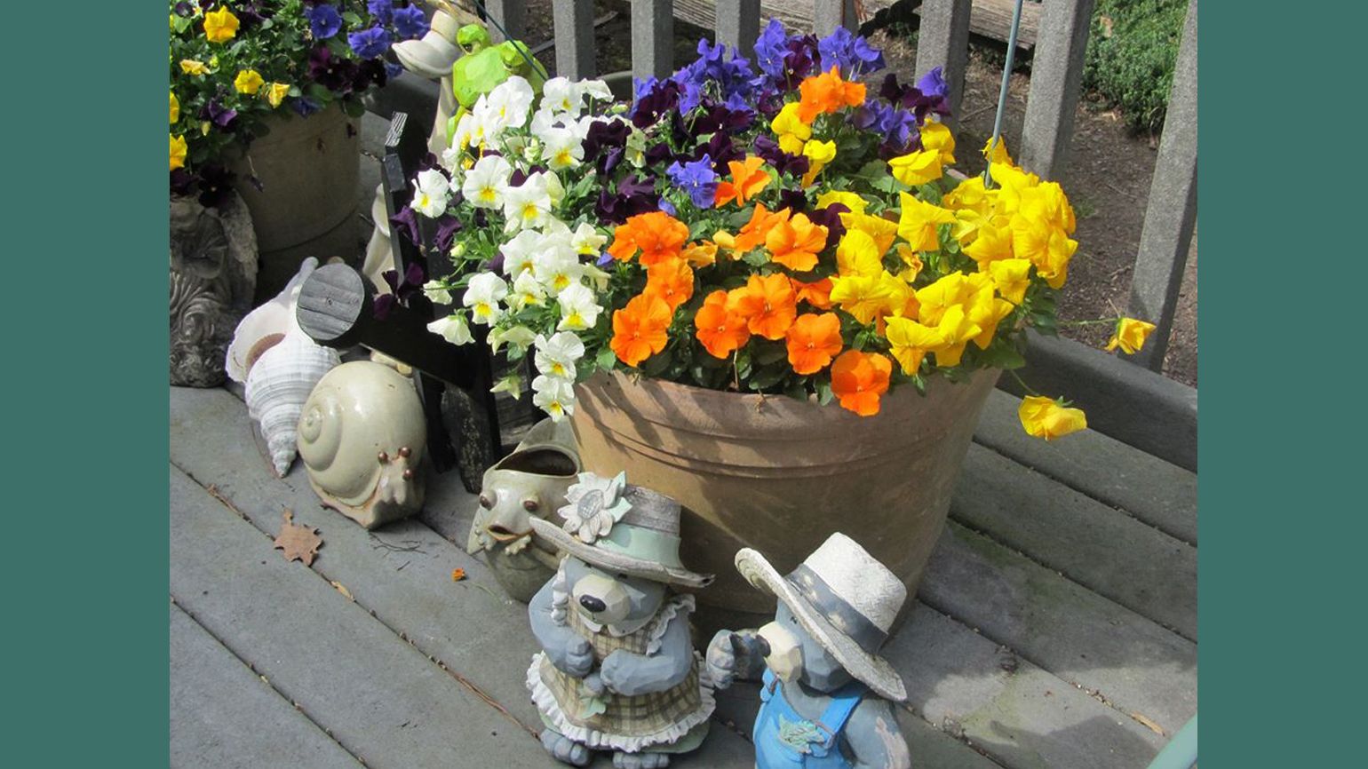 Some pansies on a deck.