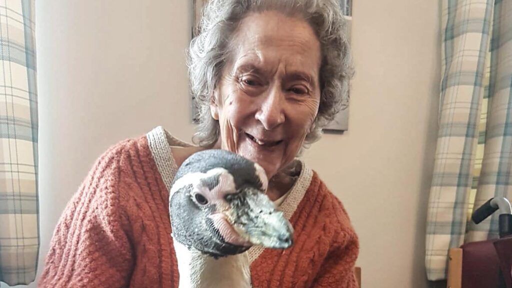 Joyce Gardner and a Humboldt penguin.