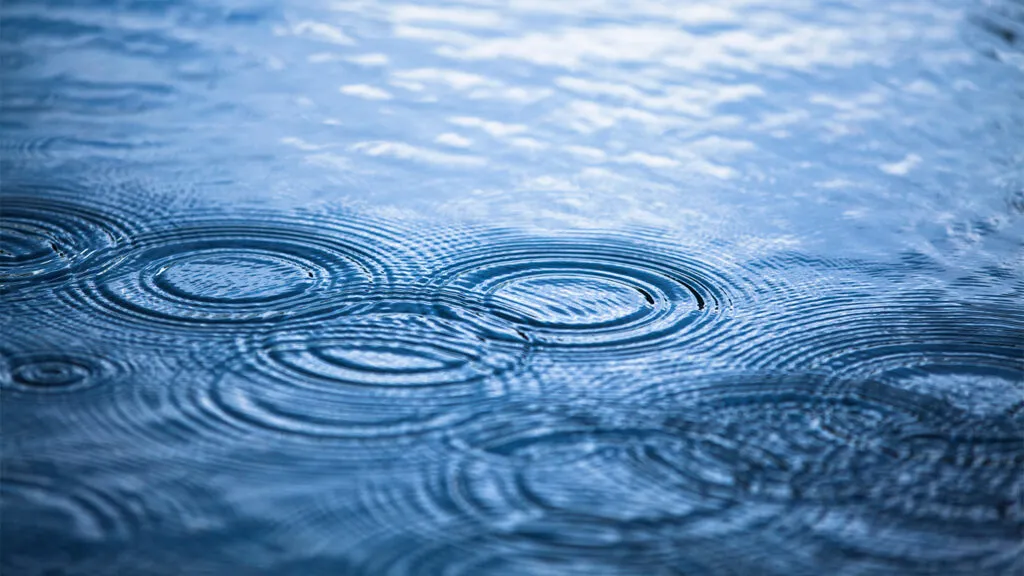 Raindrops in a puddle