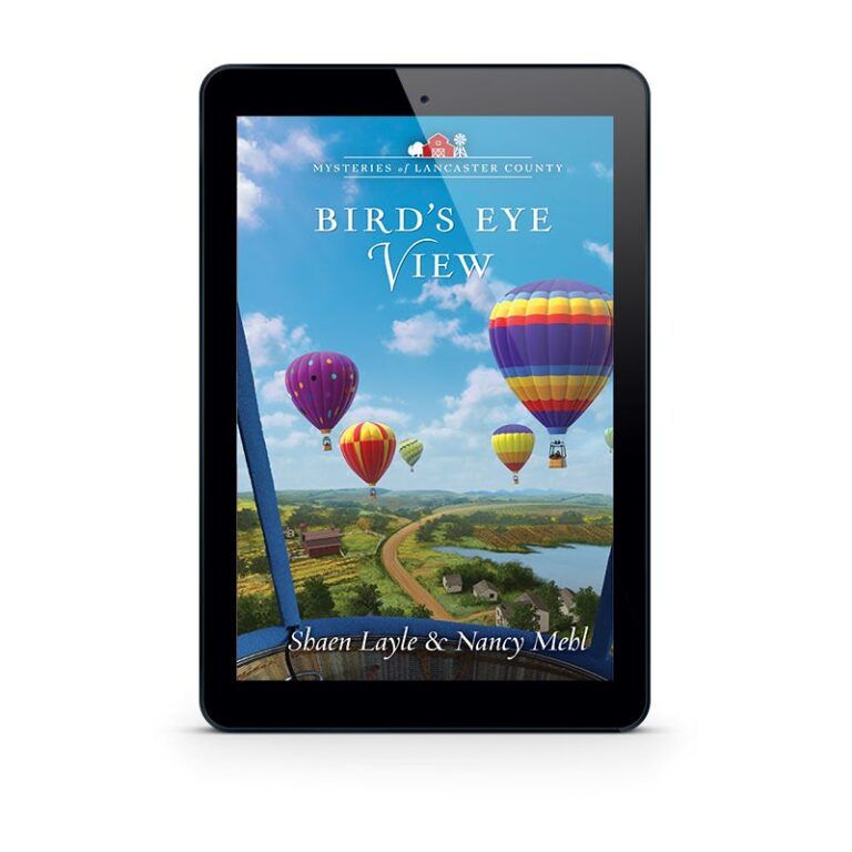 Mysteries of Lancaster County Book 18: Birds Eye View-9106