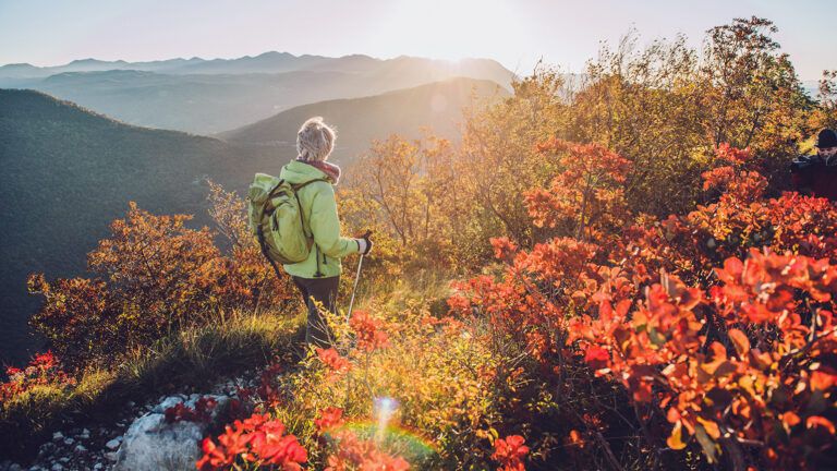 A hiker enjoys the fall foliage in the mountains