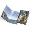 Rejoice Christmas Cards, Pack of 12-0
