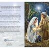 Rejoice Christmas Cards, Pack of 12-16217