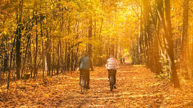 Two cyclists on a country road in autumn