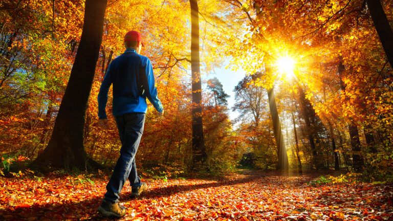 A man hikes in the woods in autumn