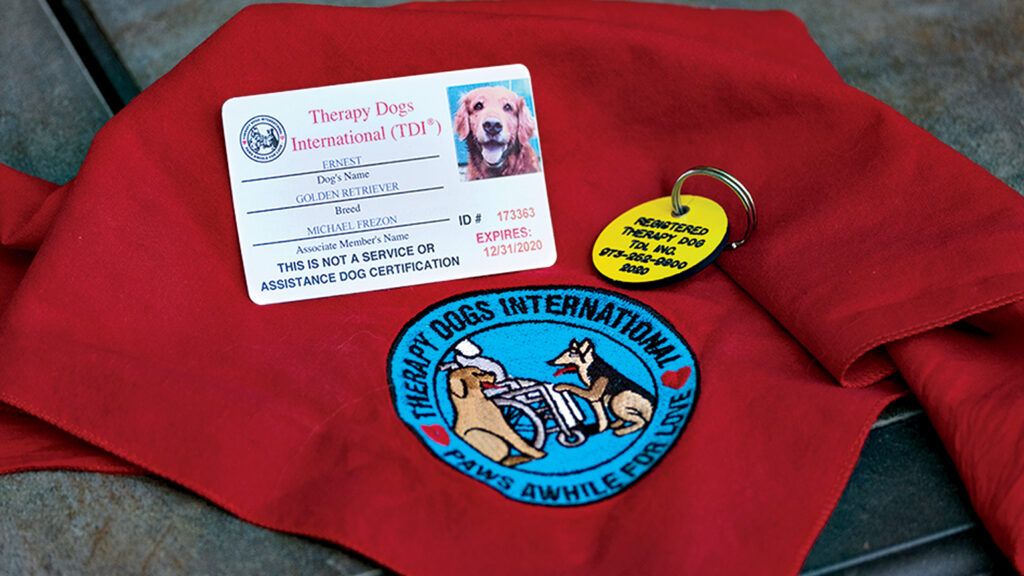 Therapy Dog International cerifciation. Photo by Roy Gumpel