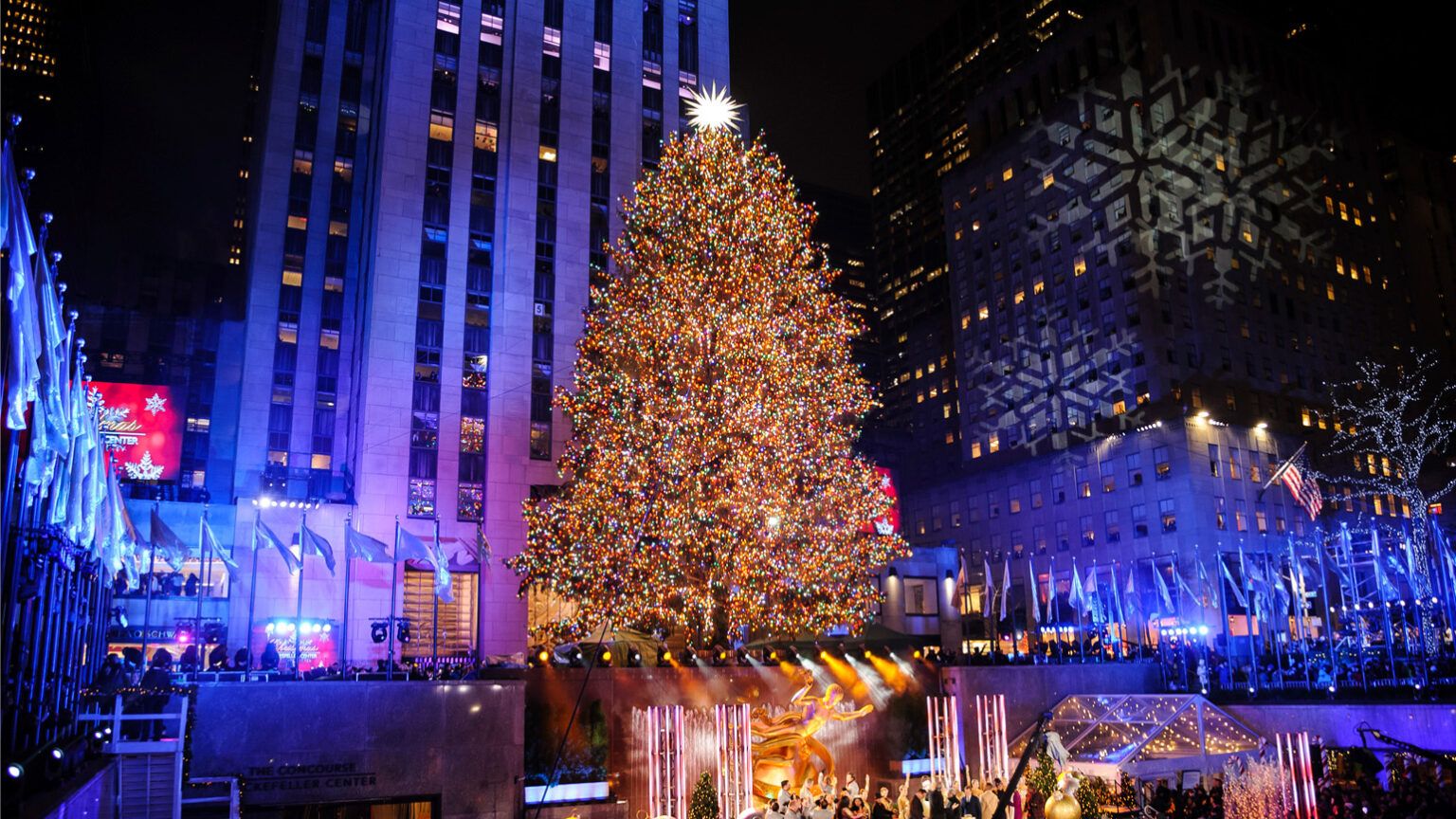 Joy to the World: The Inspiring Journey of the 2019 Rockefeller Tree ...