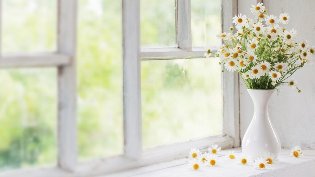 A vase of spring flowers rests near a window