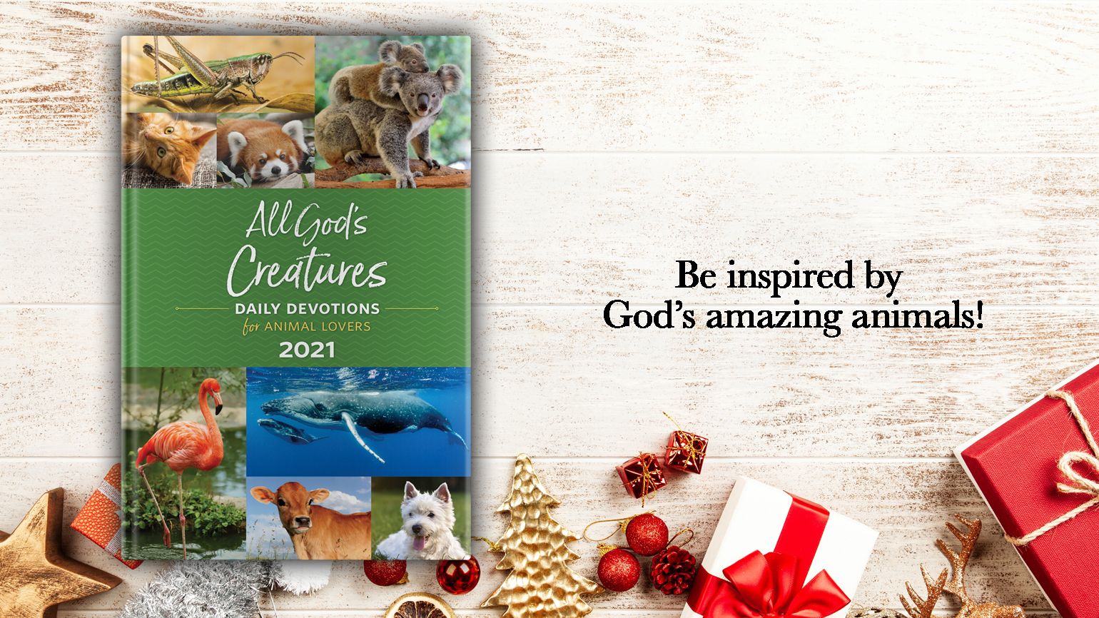 All God’s Creatures Daily Planner 2021