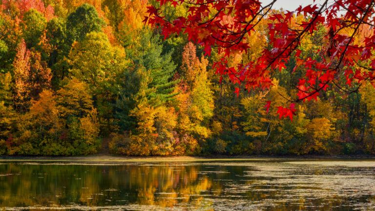 Colorful fall foliage scenery.