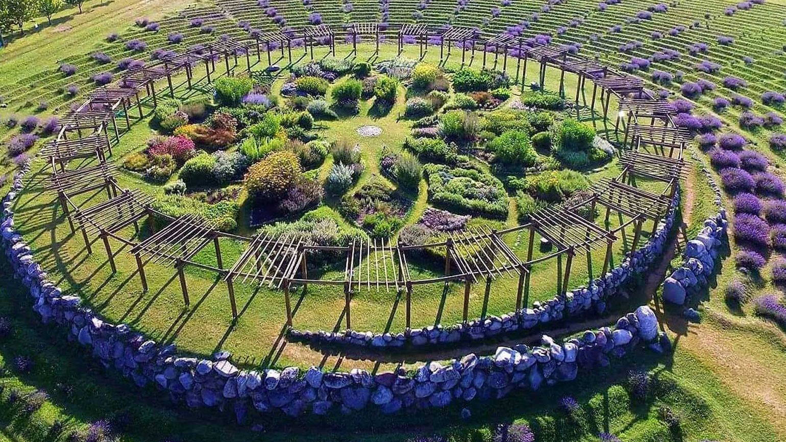 Lavender Labyrinth; Photo credit: Cherry Point Farm & Market